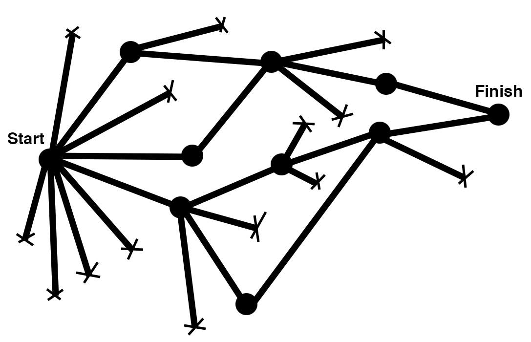 Senior Designer Process