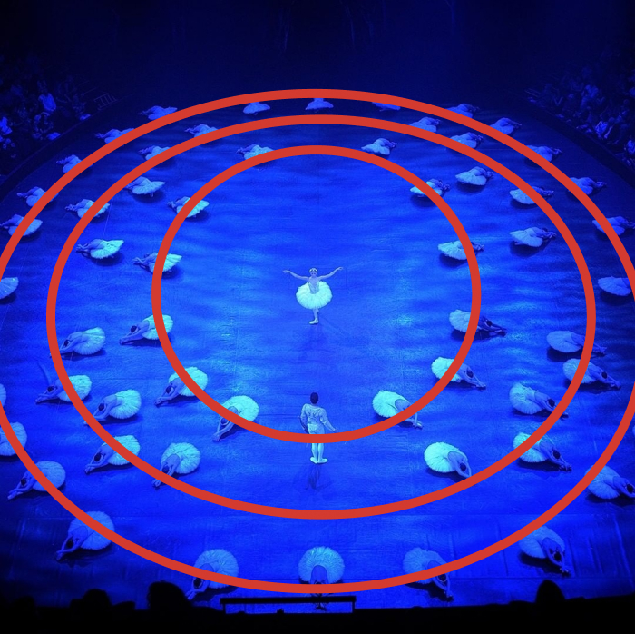 Swan Lake with circles