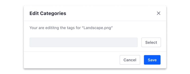 primary button in a modal